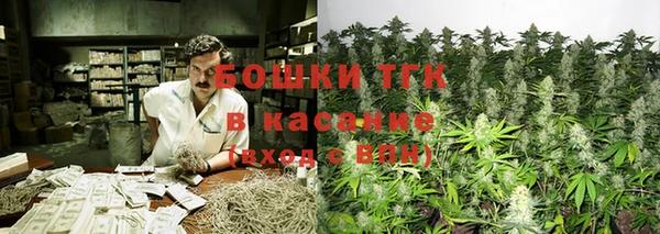 прущие грибы Алексин