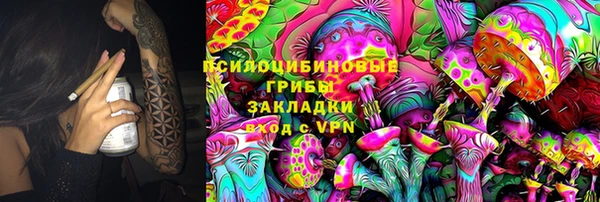 прущие грибы Алексин